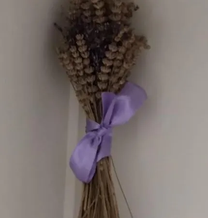 House Lavanda *